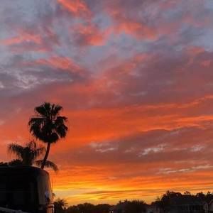 Meet your Posher, Patti